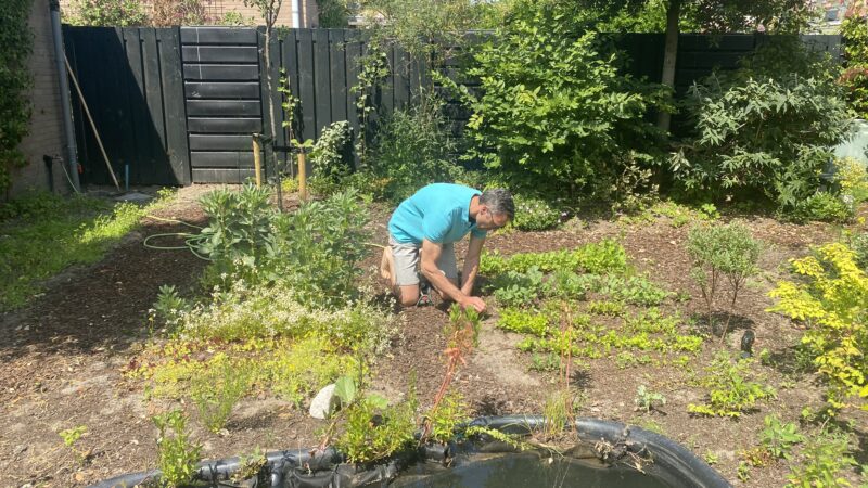 Zwolle’s klimaatcrisis, oplossingen die de stad vormgeven.